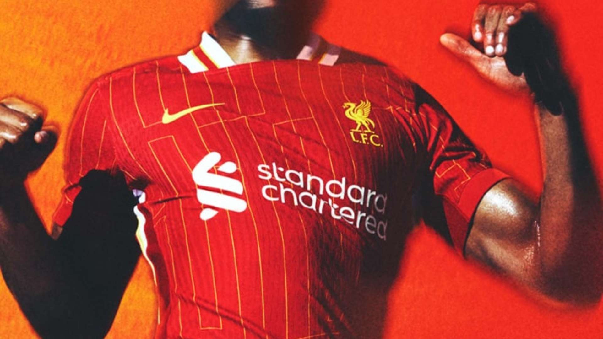 不会轻言放 不会轻言放